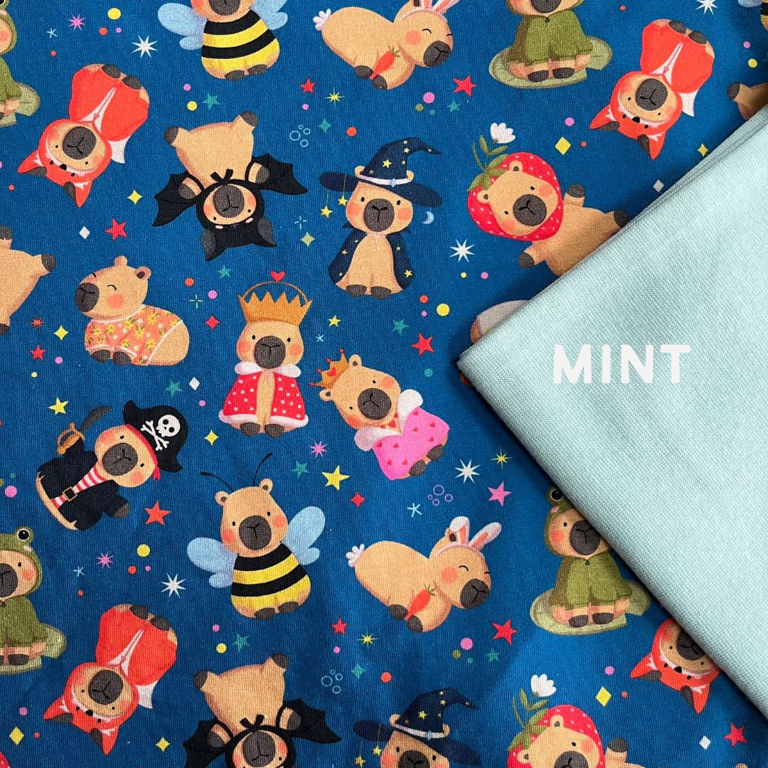 Capybaras - Easy Change Babygrow