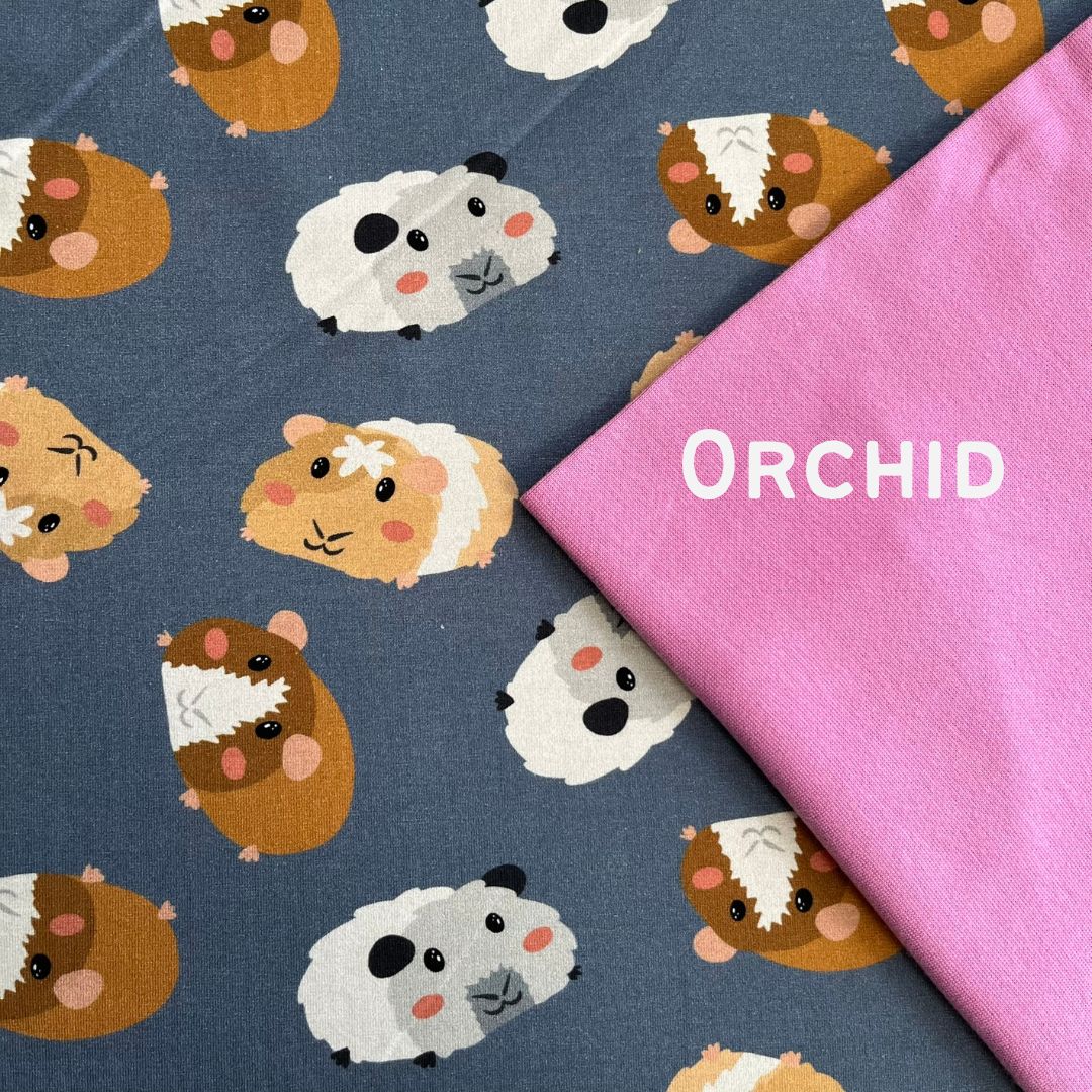 Guinea Pigs - Hooded Cardi