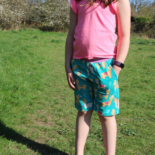 Rock Daisies - Warmer Fabric - Explorer Shorts