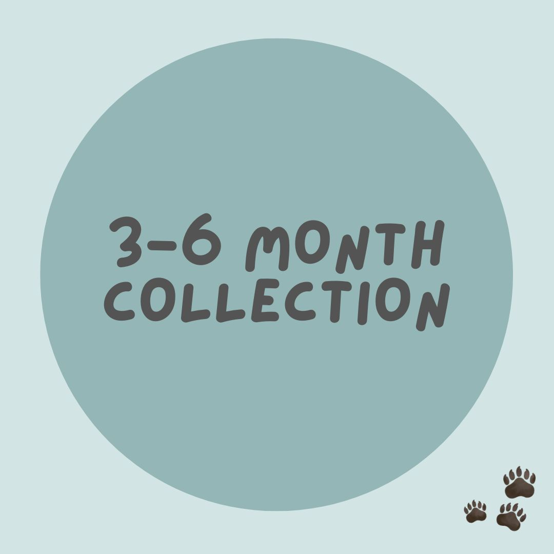 Ready to Post Collection - 3-6m