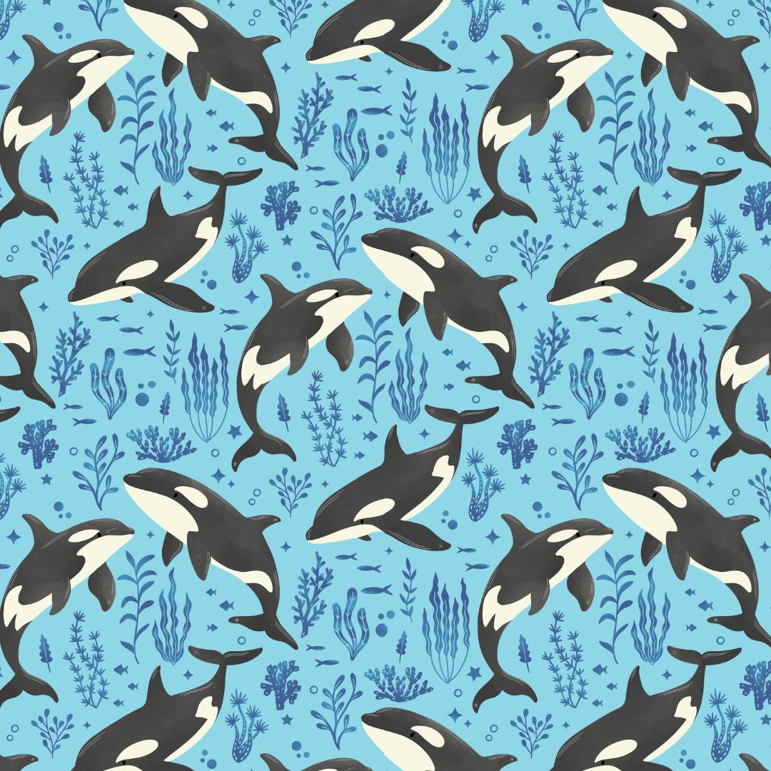 Orcas - Sea Blue