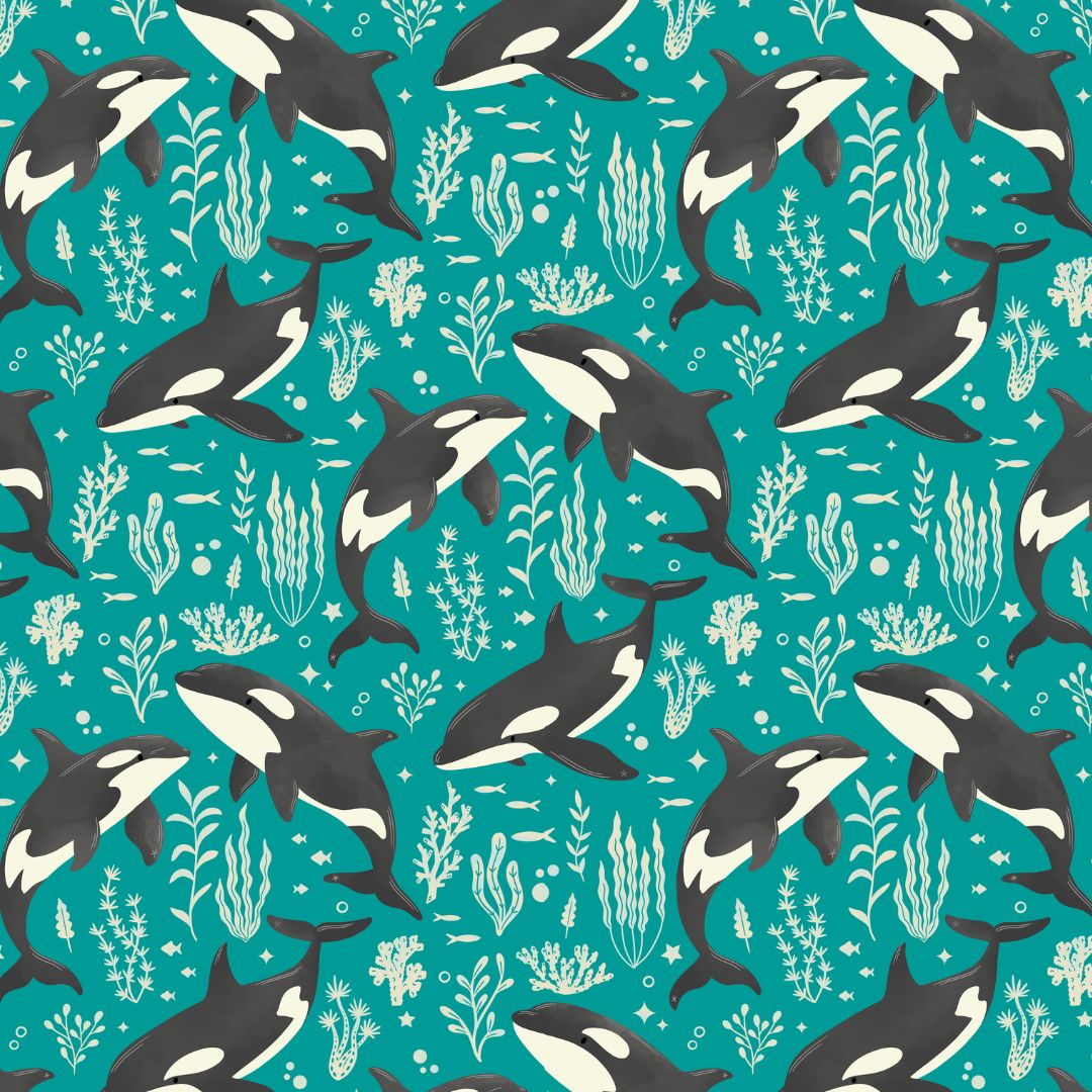 Orcas - Tropical