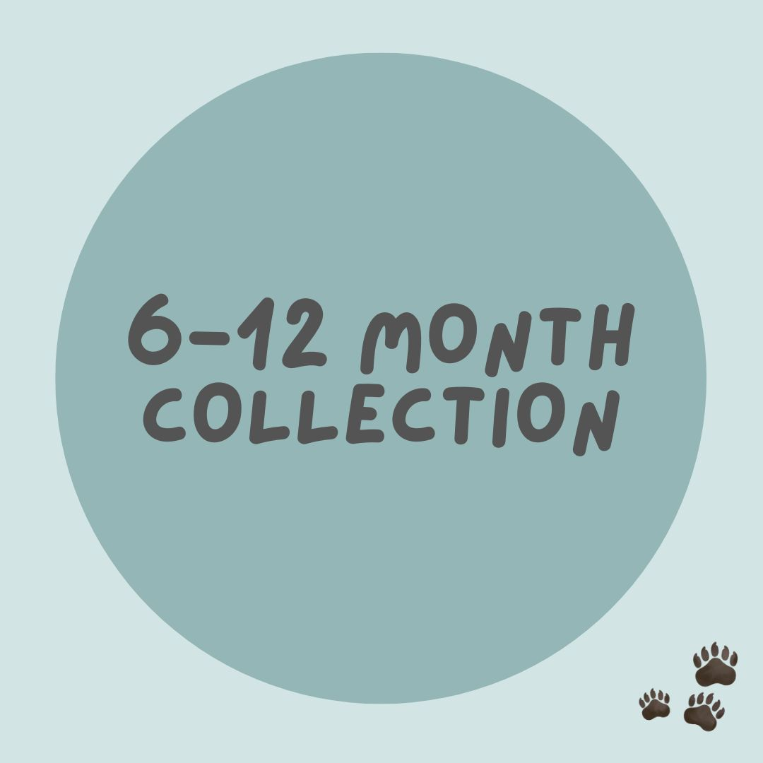 Ready to Post Collection - 6-12m