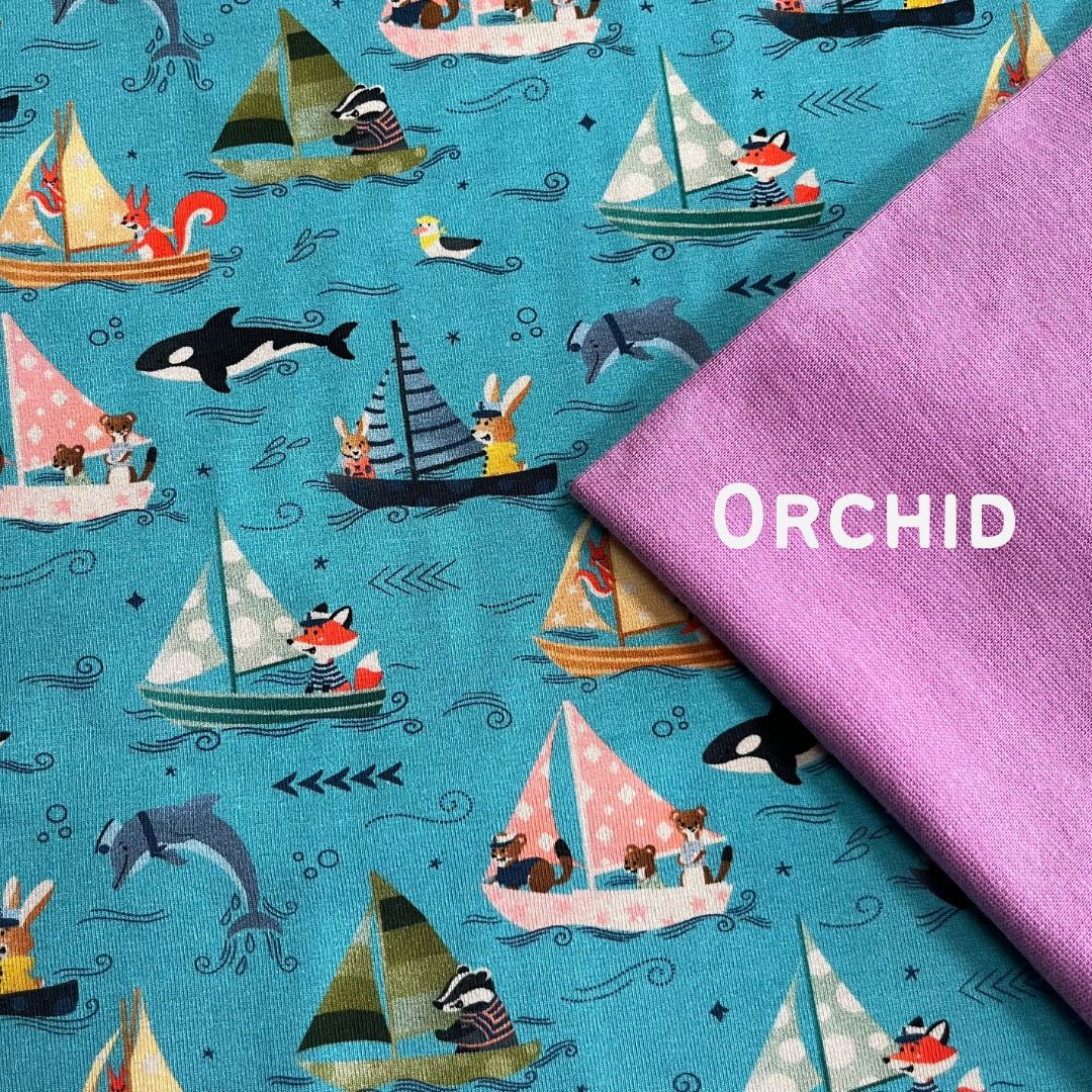 Regatta - Light - Explorer Shorts