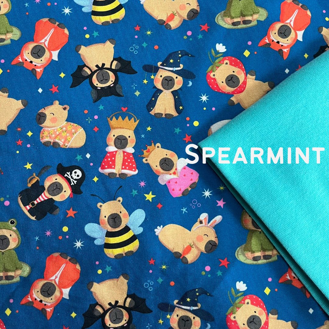 Capybaras - Hooded Cardi