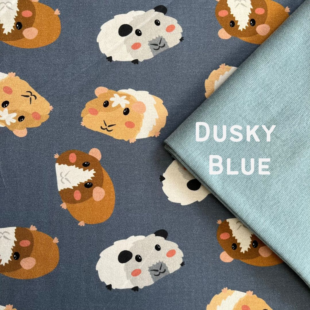 Guinea Pig - Long Zip Up Snug-Alls