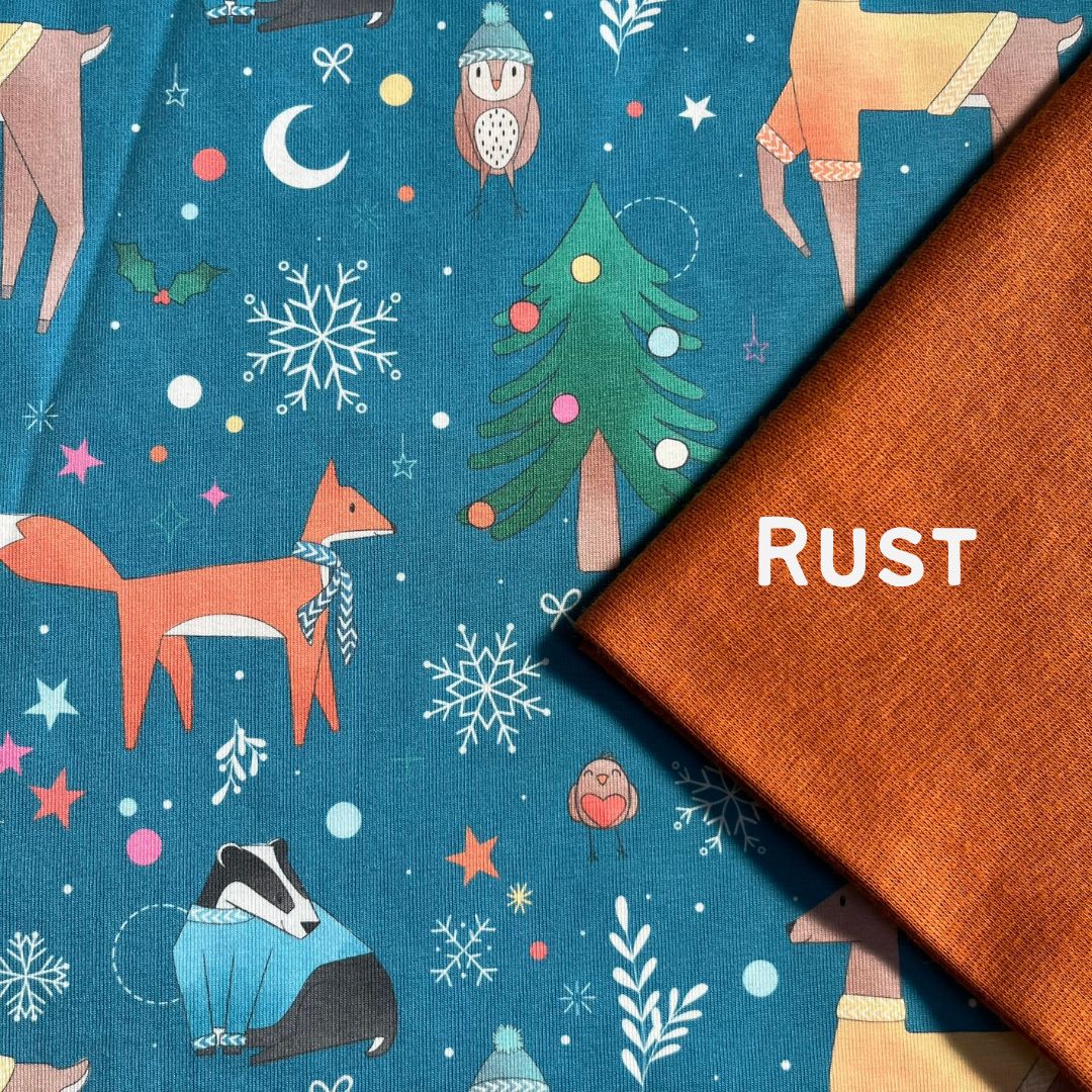 Christmas Friends - Blue - All in One Babygrow