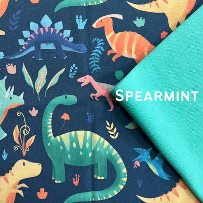 Dinotopia - Hooded Cardi