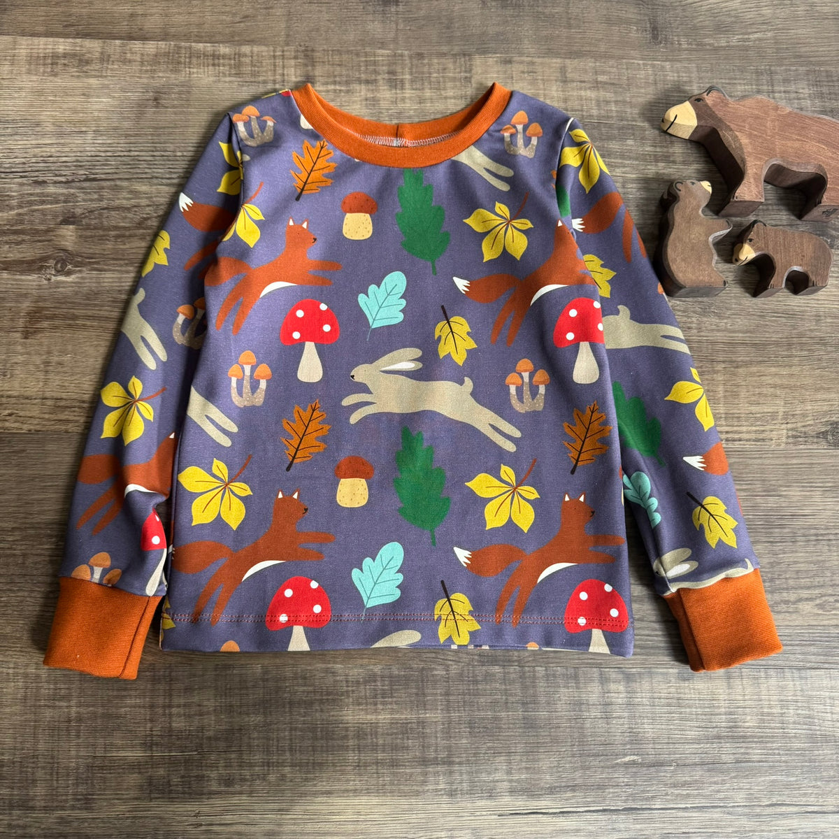 Long Sleeve Tshirt - Autumn Woodland - 3-4 Years