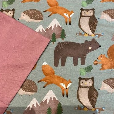 Bear and Friends - Jumper