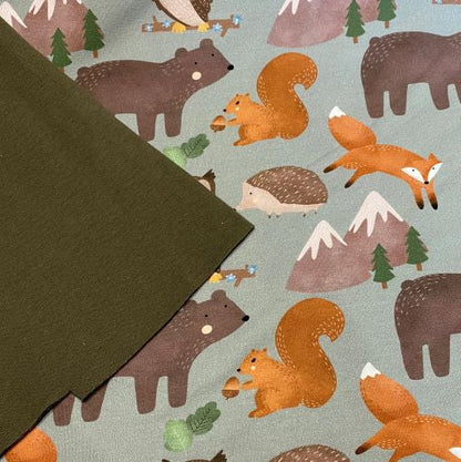 Bear and Friends - Jumper