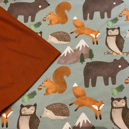 Bear and Friends - Jumper
